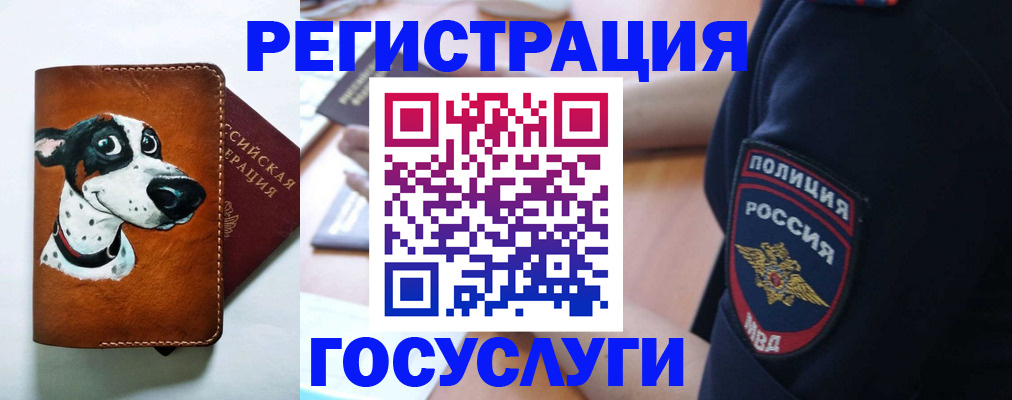 временная регистрация в квартире в Новомичуринске